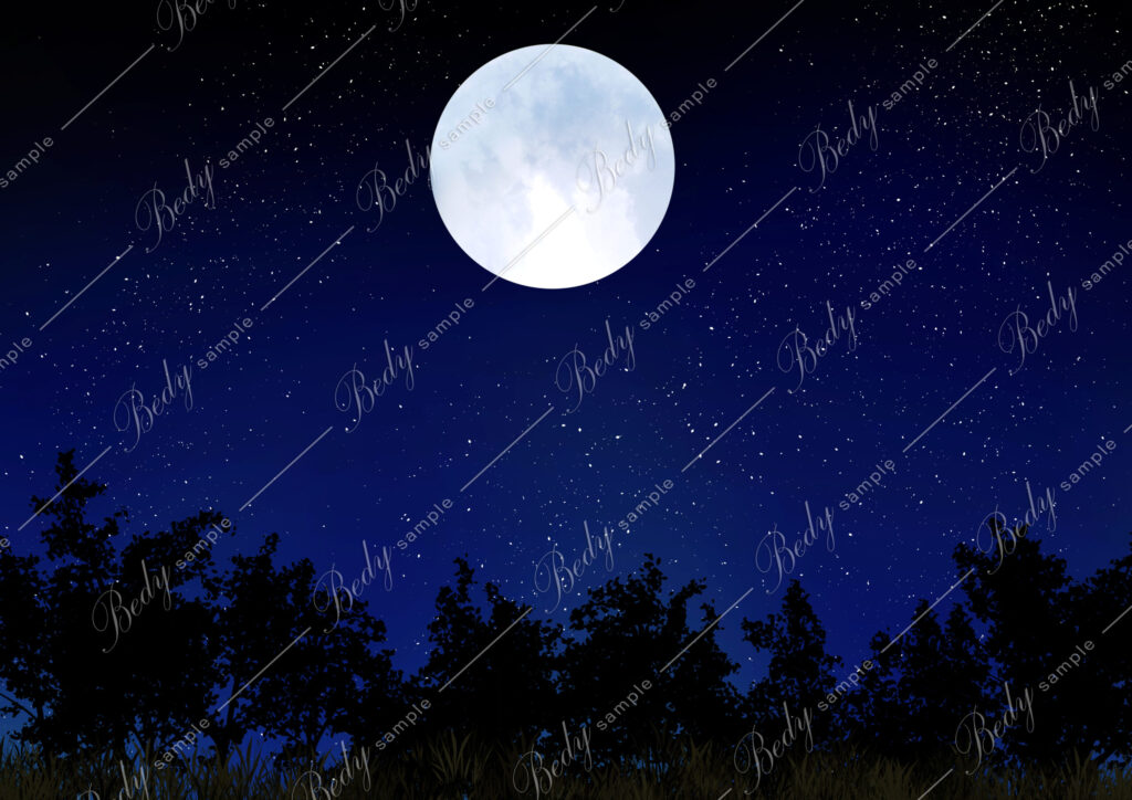 雪丸仁 オリジナル 月夜